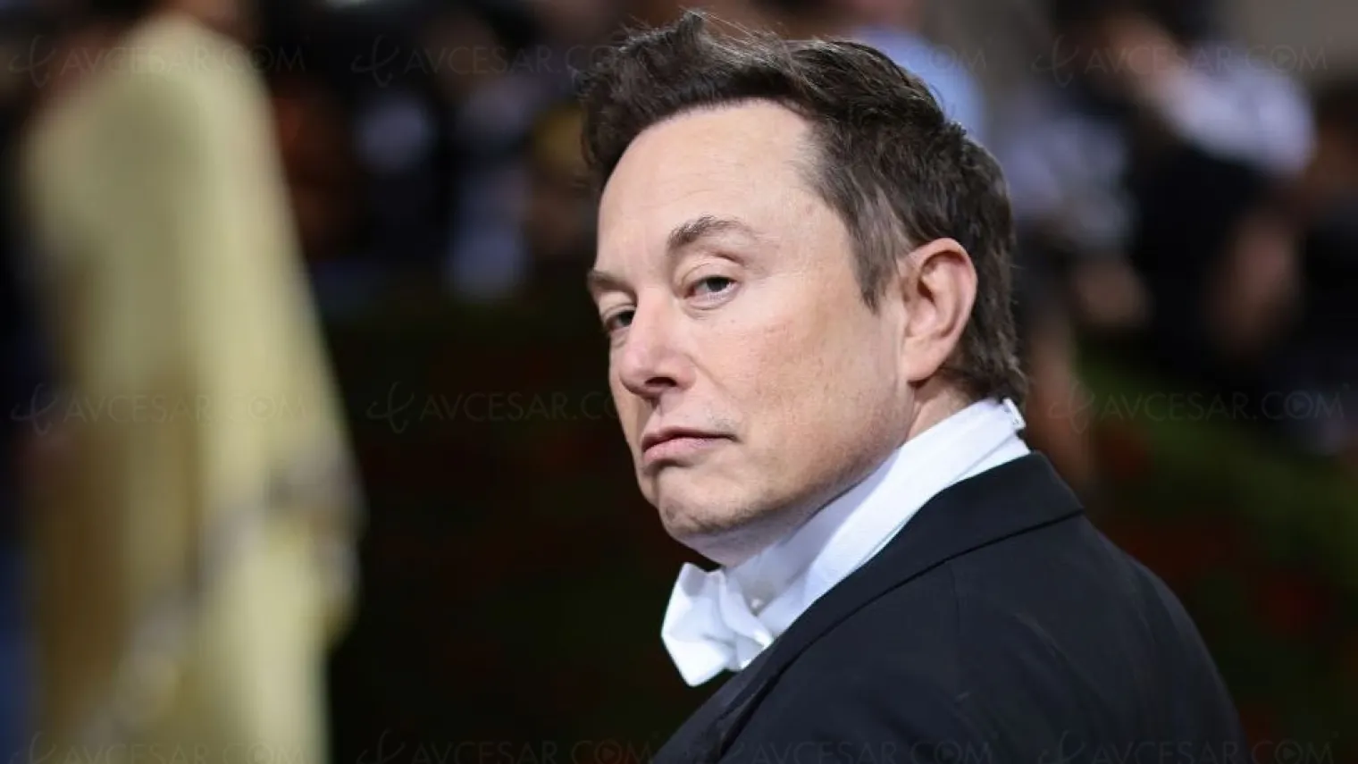tesla-met-au-defi-la-loyaute-des-fans-d-iphone