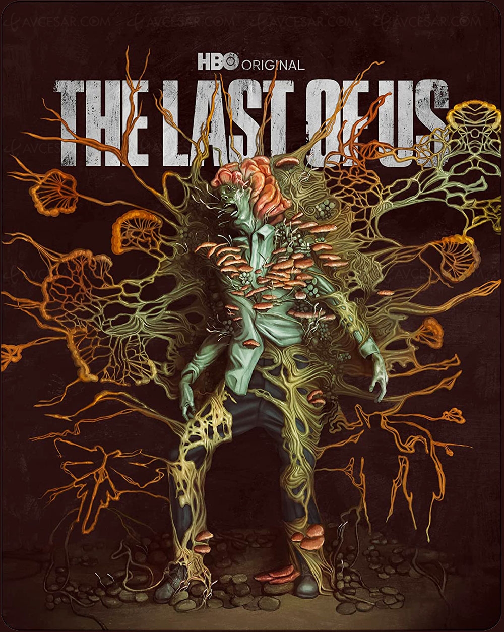Précommandes The Last of Us&nbsp;4K, c'est ouvert&nbsp;en&nbsp;France