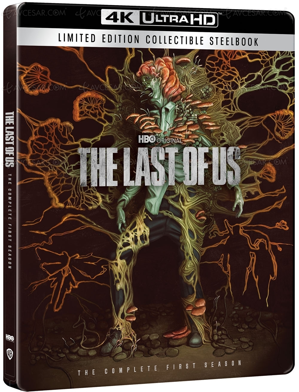 The Last of Us&nbsp;4K, le 19&nbsp;juillet en France et le plein de&nbsp;bonus&nbsp;inédits