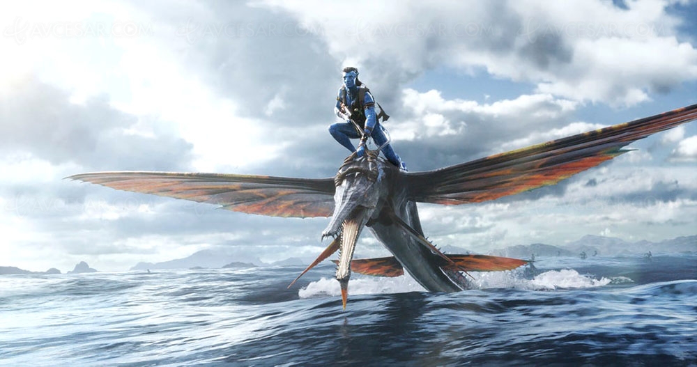 Avatar 2, sortie digitale le 13&nbsp;avril en Dolby Atmos&nbsp;et&nbsp;4K