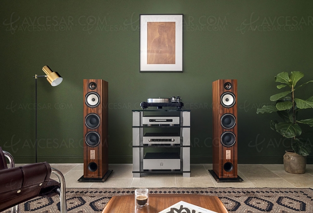 Enceinte Triangle Esprit Antal 40Th et Comete 40Th, magnifique nouvelle finition chêne doré