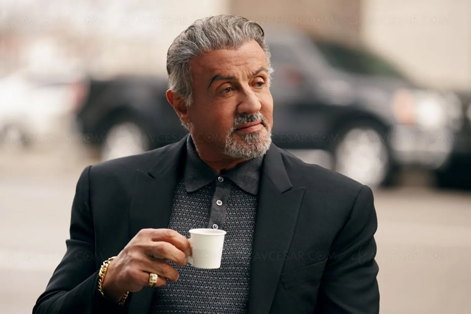 sylvester-stallone-rempile-pour-amazon-studios-avec-une-comedie-d-action