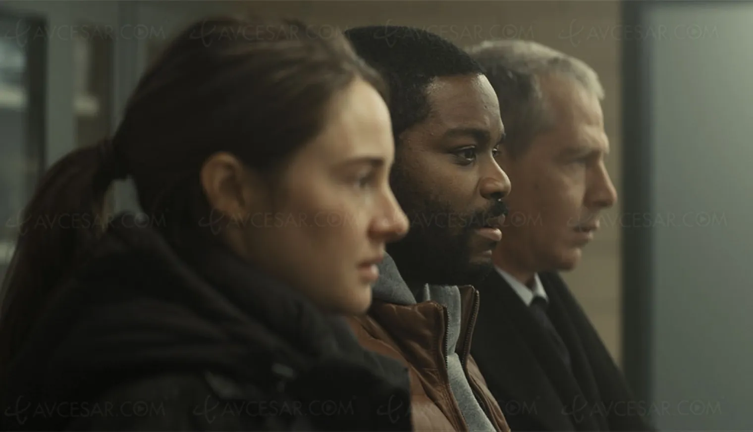 on-a-vu-misanthrope-avec-shailene-woodley-et-ben-mendelsohn