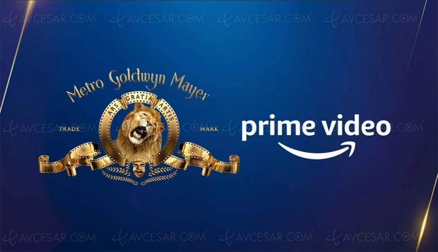 Les productions Prime Video s'émancipent et s'ouvrent au monde