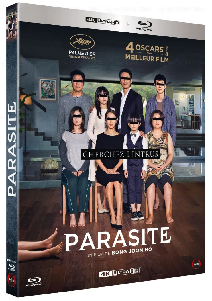 La Palme d'or Parasite revient en 4K + Blu-Ray en mai