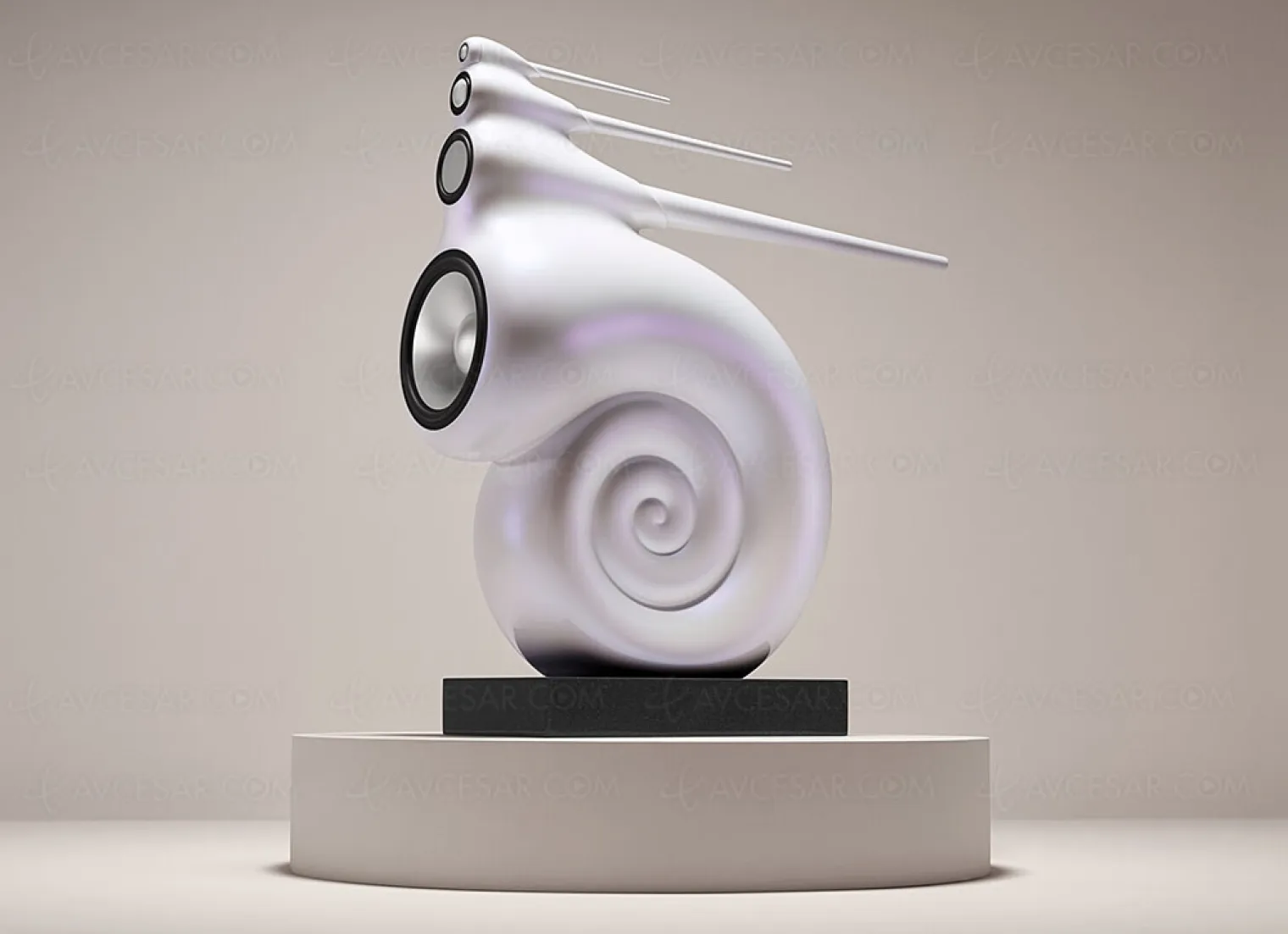 bowers-wilkins-nautilus-finition-abalone-exclusive-30e-anniversaire