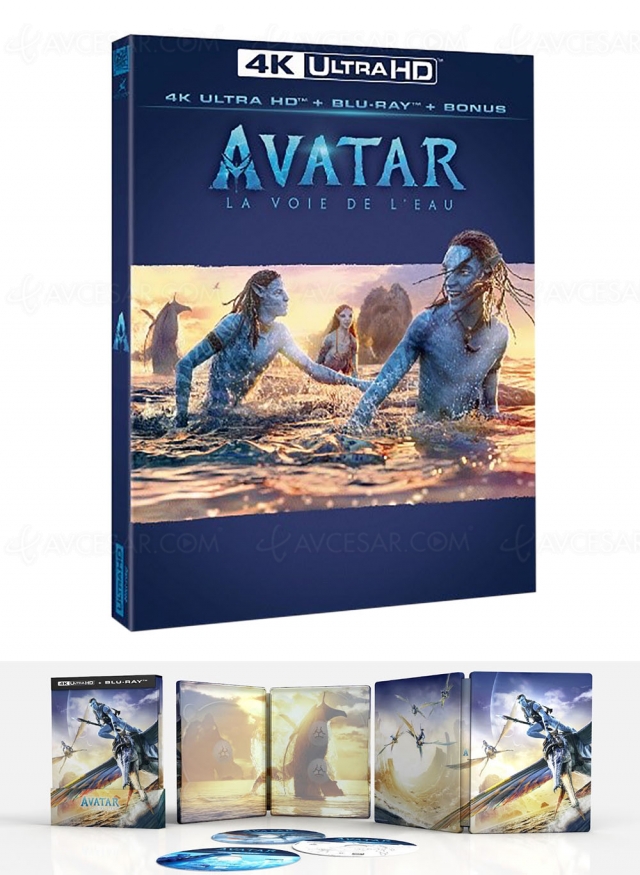 Avatar 2, sortie 4K UHD et Blu-Ray le 23 juin, c'est officiel