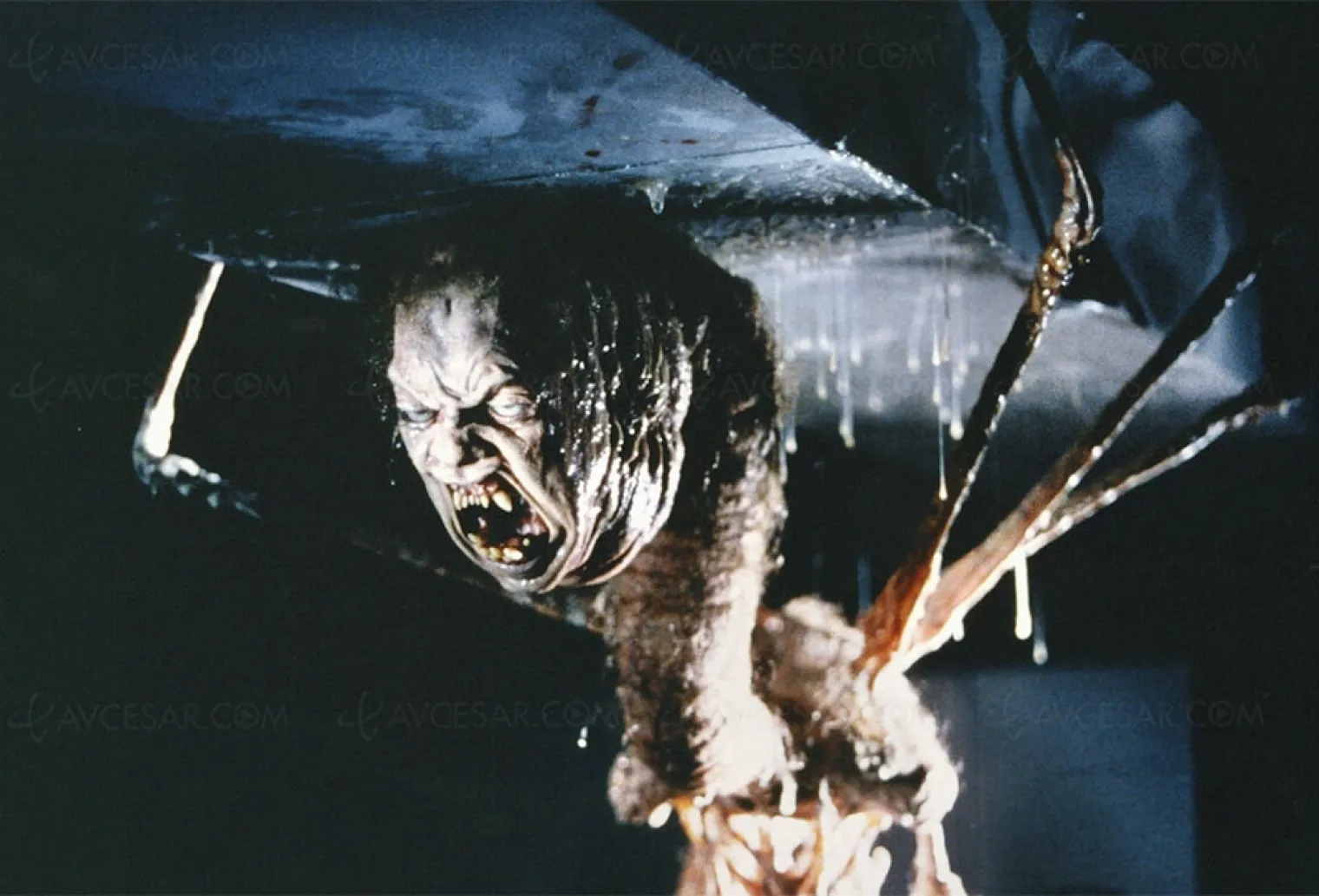 the-thing-2-et-une-serie-par-john-carpenter