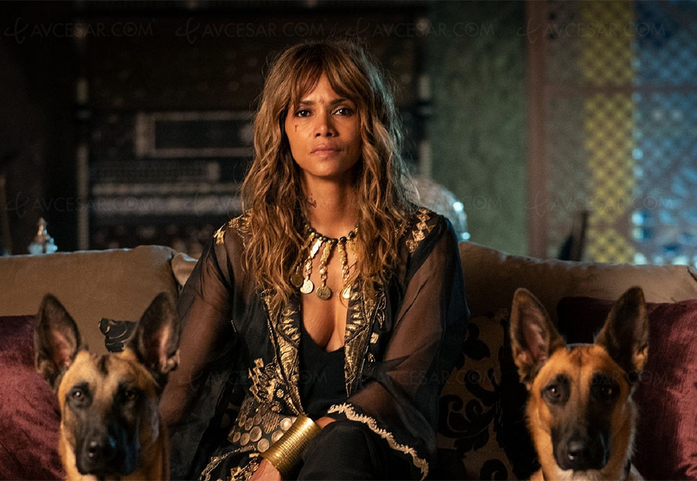 Hally Berry de retour dans un spin off de&nbsp;John&nbsp;Wick