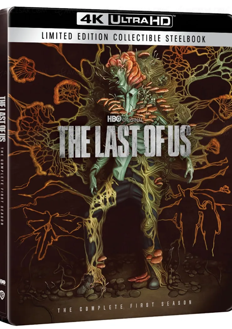 Tout le détail The Last of Us 4K et un bonus Depeche Mode au Stade de France