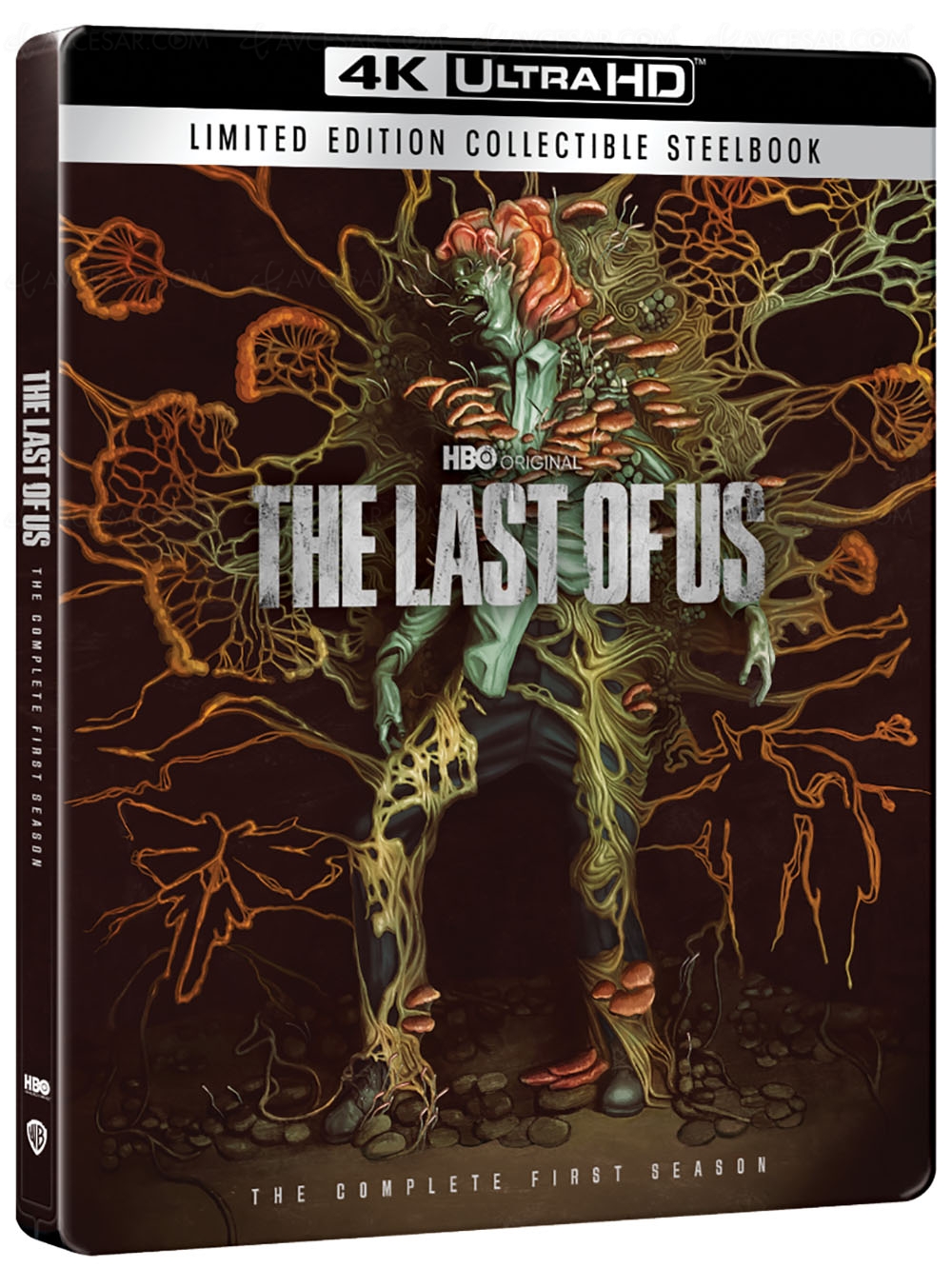 Tout le détail The Last of Us&nbsp;4K et un bonus Depeche Mode au Stade&nbsp;de&nbsp;France