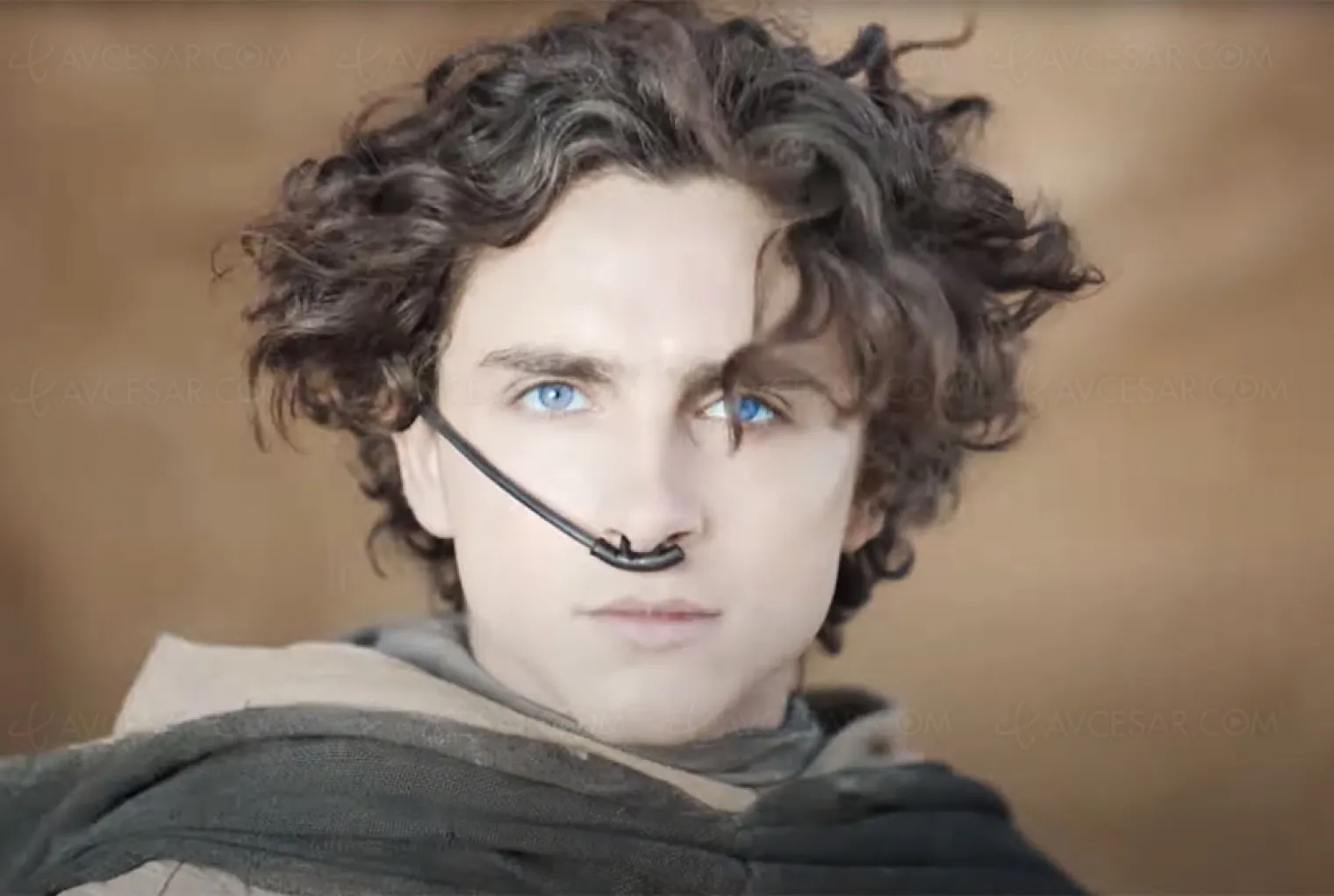 nouvelle-bande-annonce-dune-2-timothee-chalamet-est-le-prophete