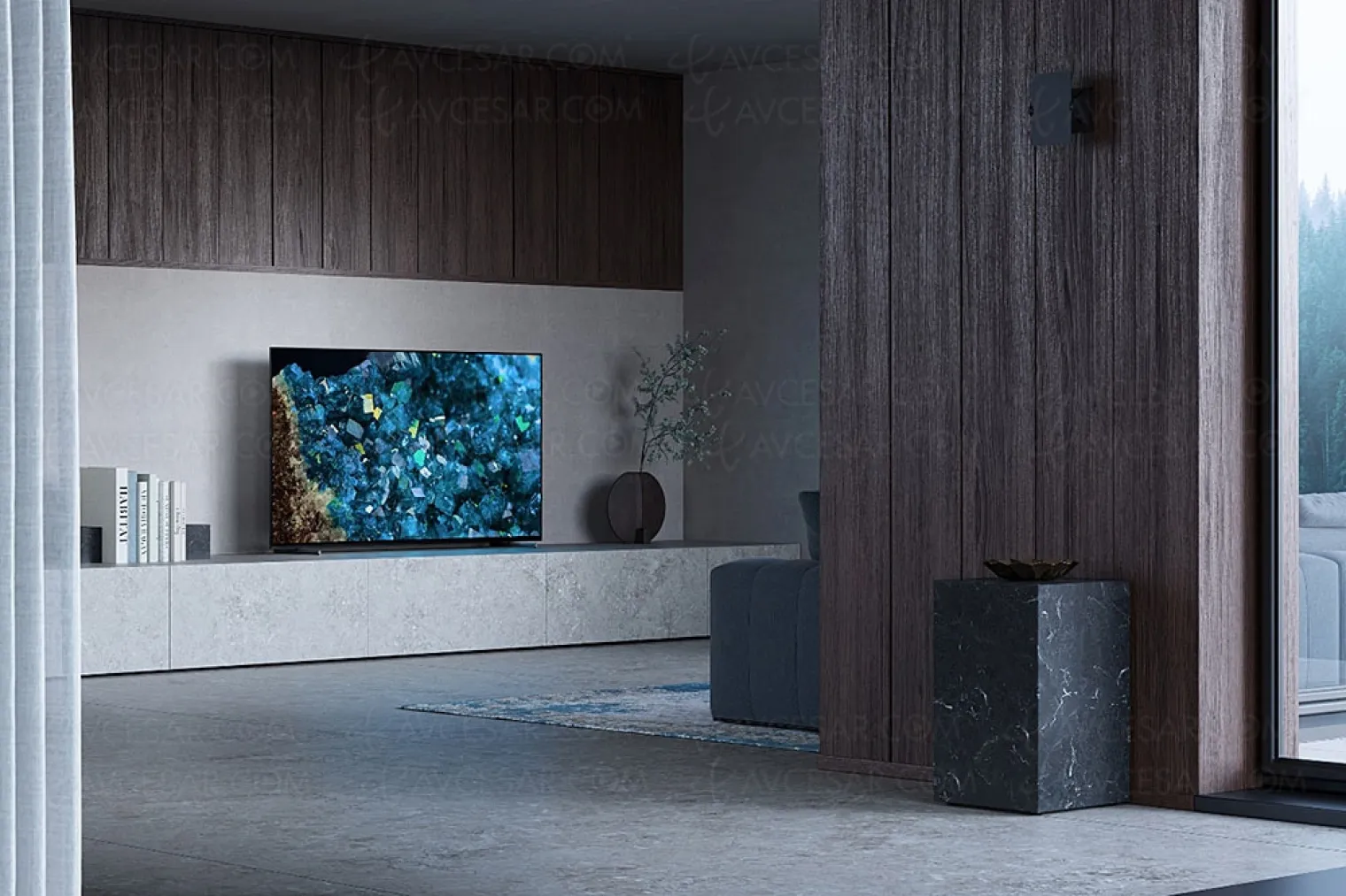 visioconference-zoom-sur-tv-sony-bravia