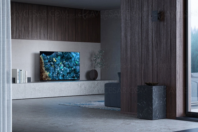 Visioconférence Zoom sur TV Sony Bravia