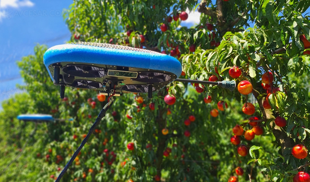 Drones jardiniers, le futur est dans&nbsp;le&nbsp;pré