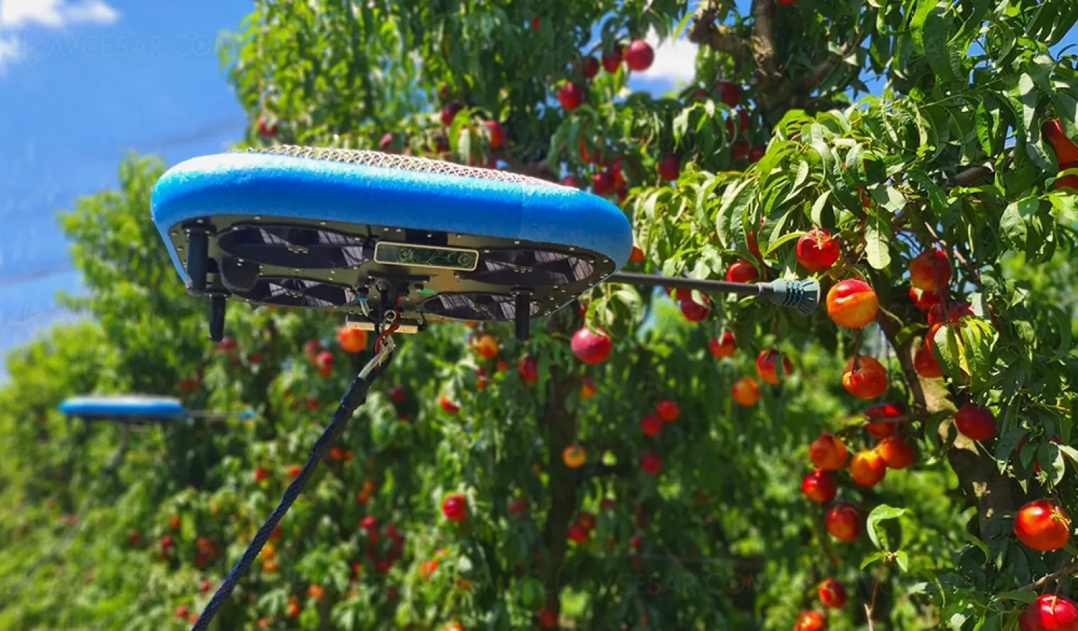 drones-jardiniers-le-futur-est-dans-le-pre