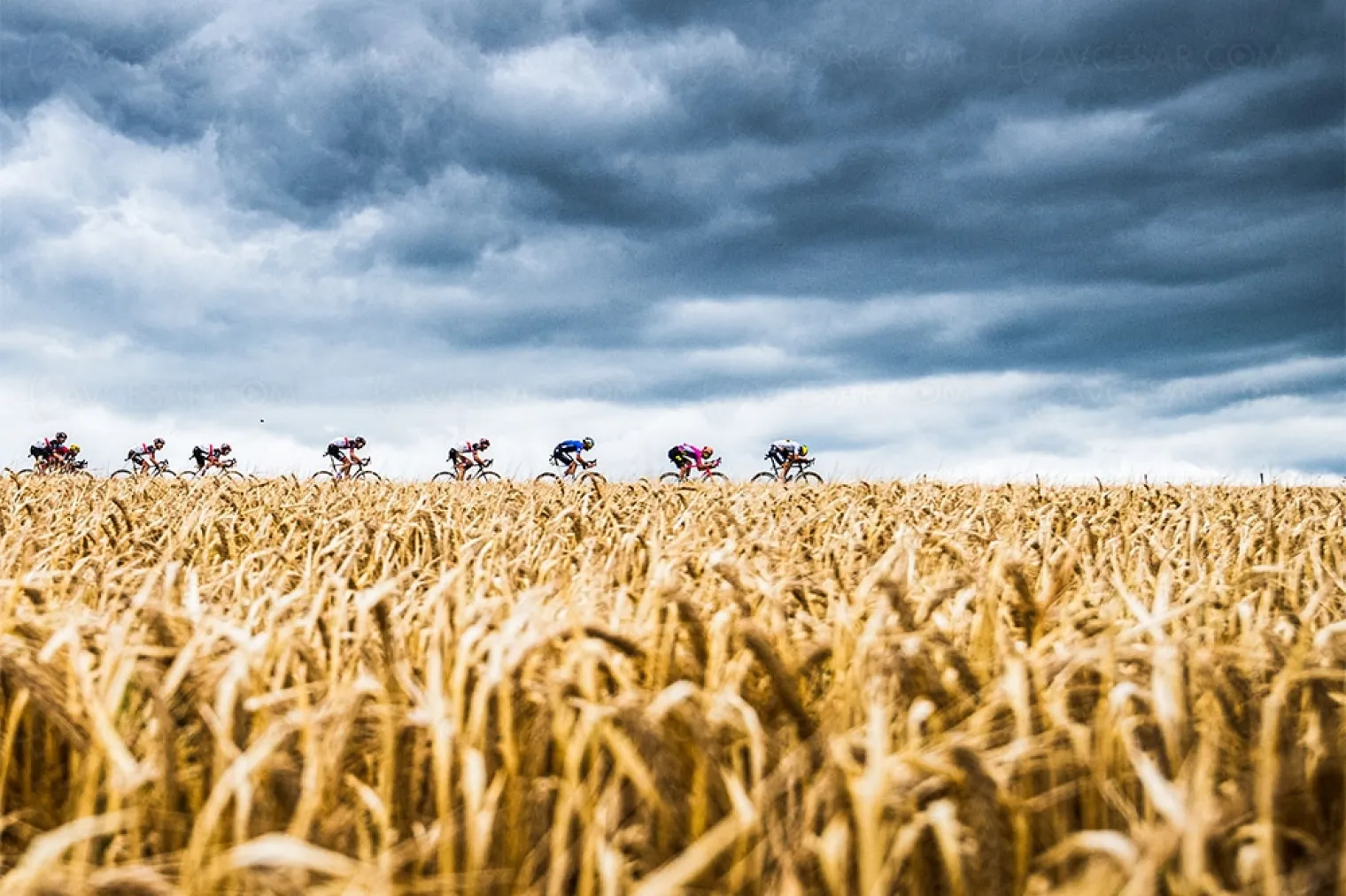 critique-et-test-tour-de-france-au-coeur-du-peloton-en-ligne