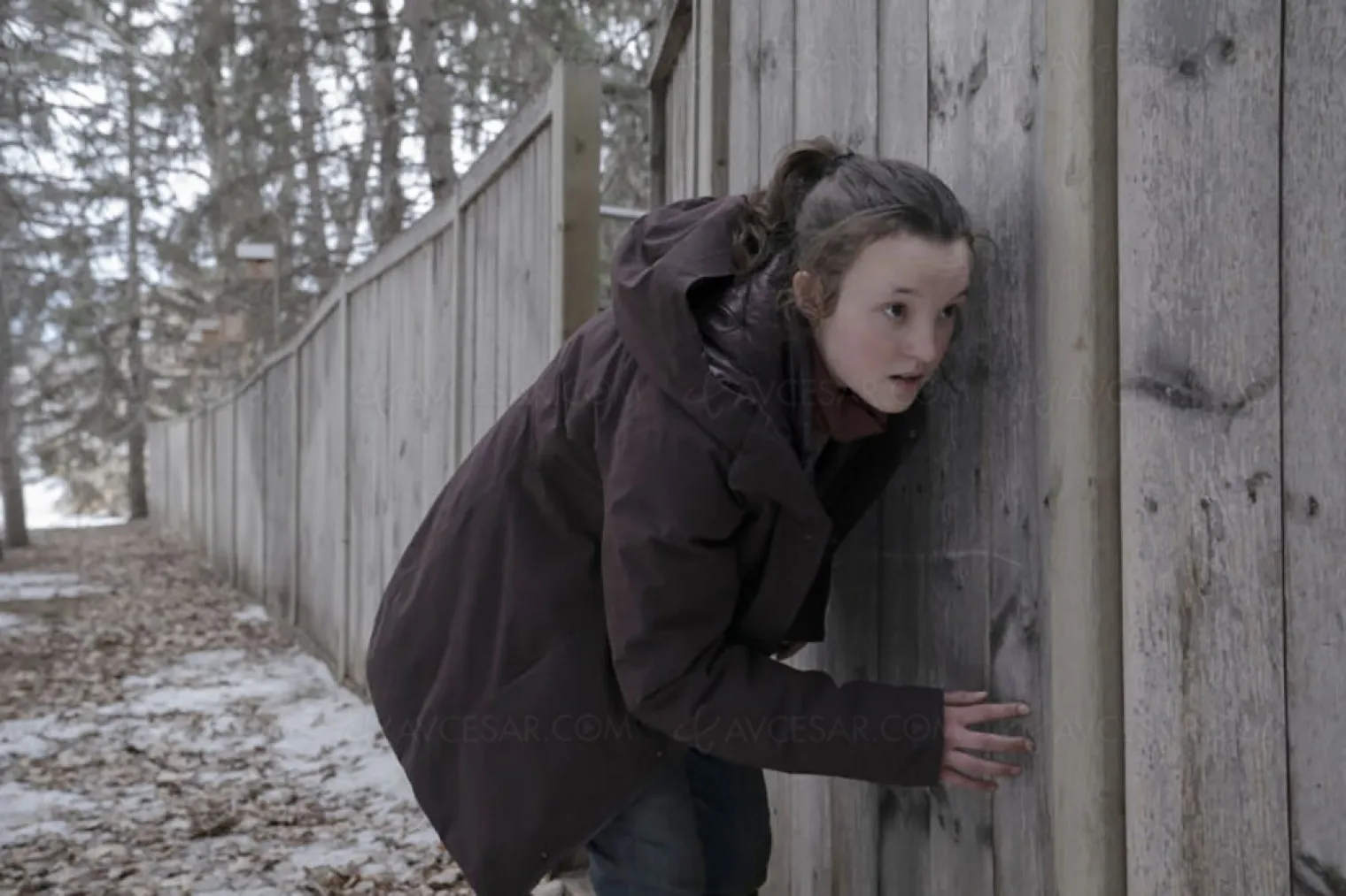 des-nouvelles-de-the-last-of-us-saisons-2-et-3
