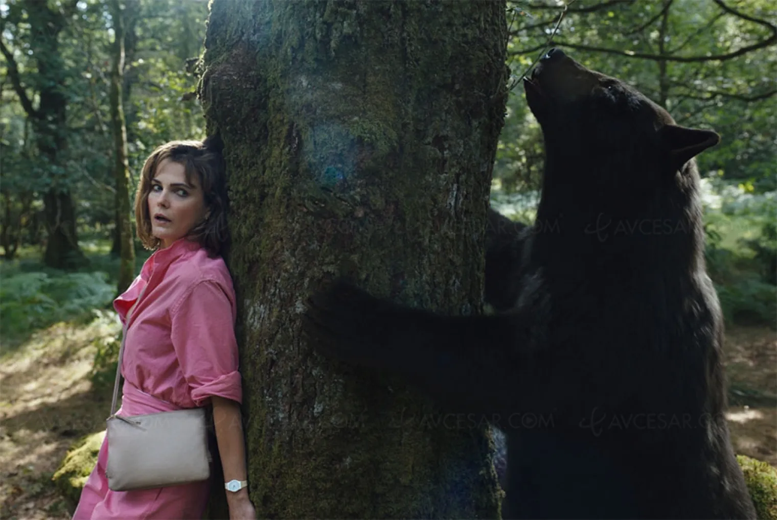 crazy-bear-ours-mechamment-defonce-en-blu-ray-le-26-juillet