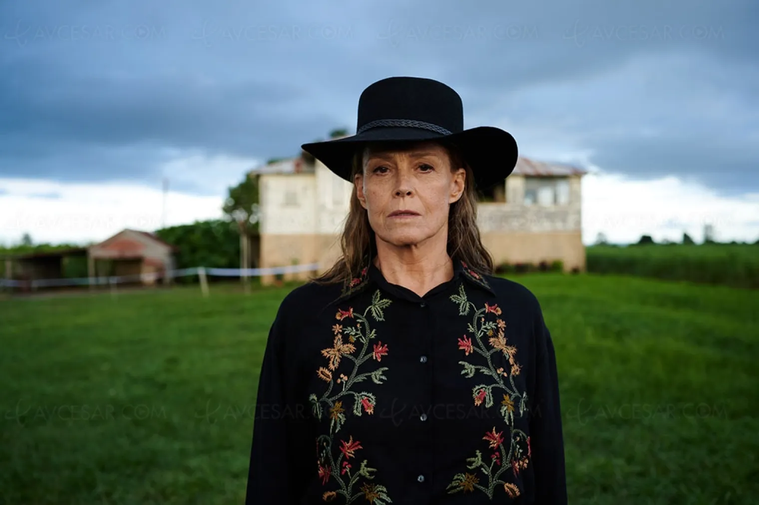 les-fleurs-sauvages-sigourney-weaver-en-majeste-dans-une-serie-amazon-le-4-aout