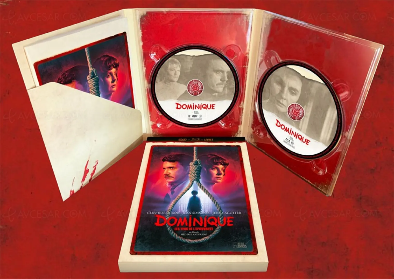 dominique-les-yeux-de-l-epouvante-un-thriller-macabre-bientot-chez-rimini