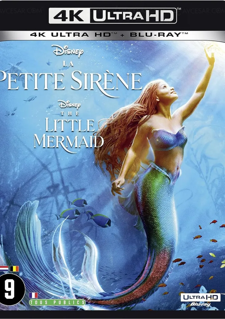 la-petite-sirene-le-classique-de-1989-en-live-action-4k-chez-disney-cet-automne