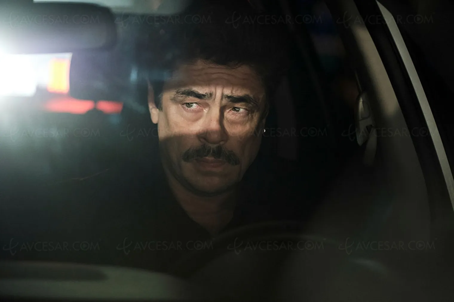 reptile-premiere-bande-annonce-du-thriller-a-la-true-detective-de-netflix