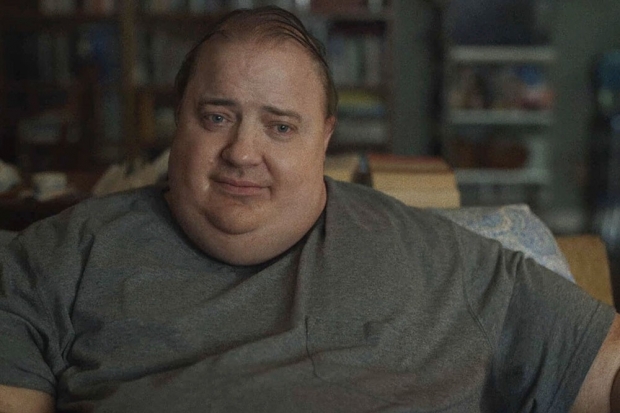 Test Blu-Ray The Whale, Brendan Fraser quasi christique dans le film d'Aronofsky