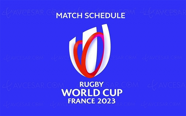 Coupe du Monde de Rugby 2023, vivez les matchs en Ultra HD 4K