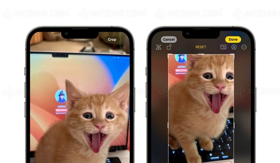 Nouveautés caméra iPhone avec&nbsp;iOS17