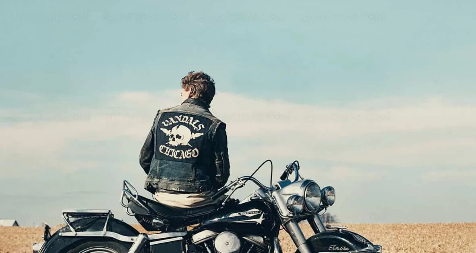 the-bikeriders-superbe-bande-annonce-entre-easy-riders-et-sons-of-anarchy