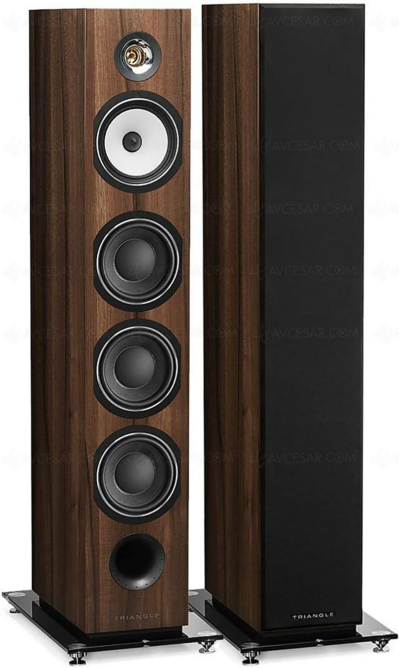 Black Friday 2023&nbsp;> Enceinte Triangle Esprit Australe&nbsp;EZ à&nbsp;990&nbsp;€, soit une remise&nbsp;de&nbsp;‑35%