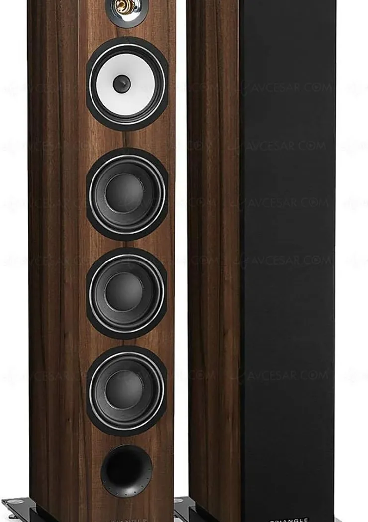 black-friday-2023-enceinte-triangle-esprit-australe-ez-a-990-soit-une-remise-de-35