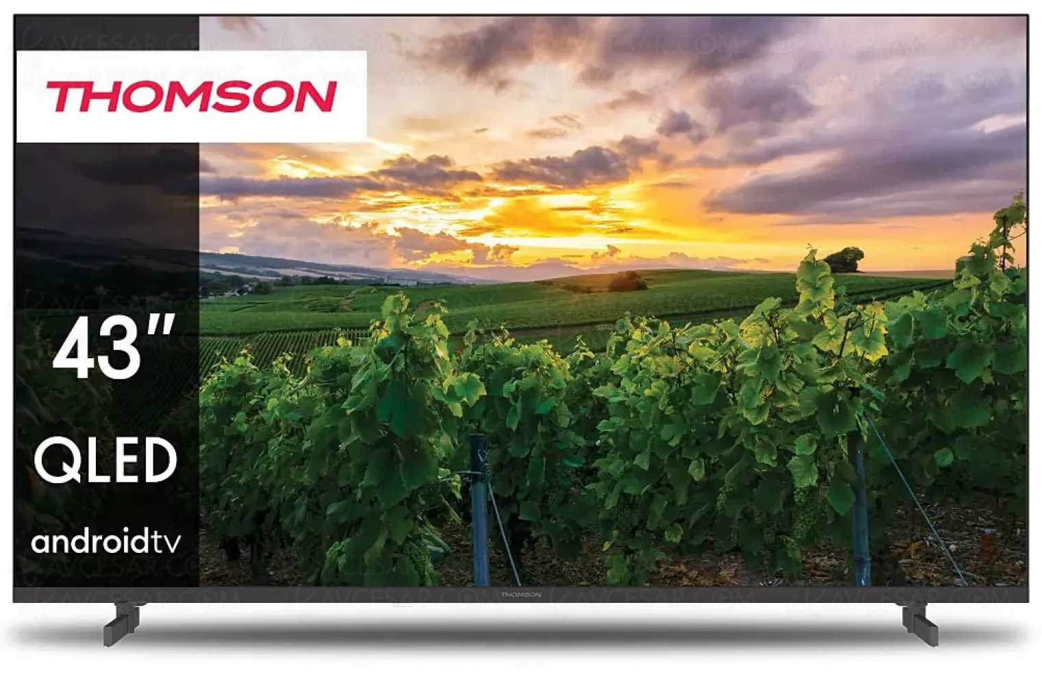 black-friday-2023-tv-qled-thomson-43qa2s13-a-349-soit-23-de-remise