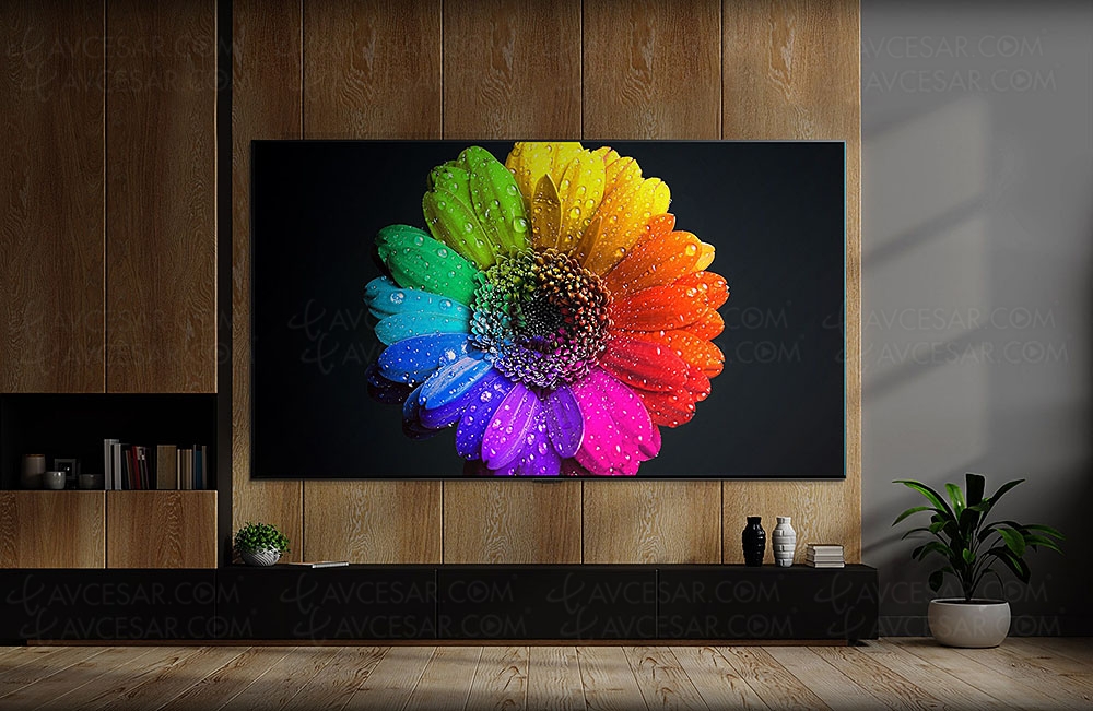 CES 24 > TV LG QNED99T/LG&nbsp;QNED90T Mini&nbsp;LED +&nbsp;LG&nbsp;QNED80T/LG&nbsp;QNED85T LED&nbsp;Edge