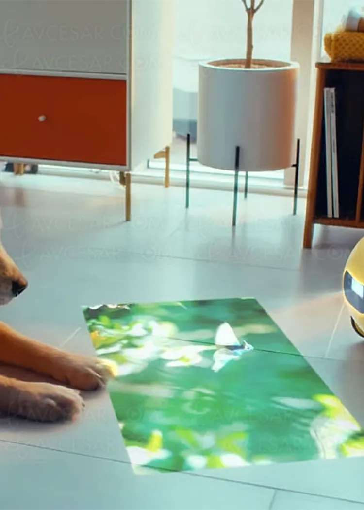 CES 24 > Ballie, le robot de Samsung&nbsp;s’améliore