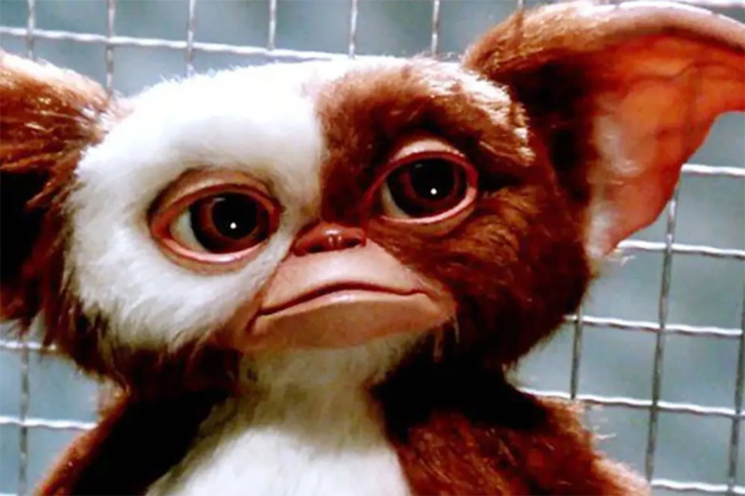 gremlins-3-ce-n-est-pas-impossible-selon-zach-galligan