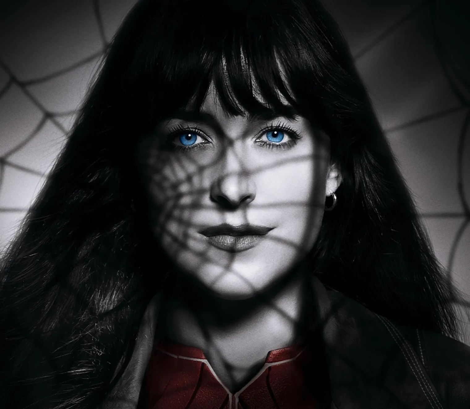 madame-web-se-faire-une-toile-ou-precommander-le-4k