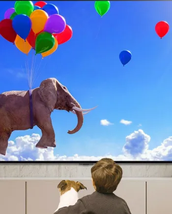 TV LG QNED89T, premier 98&#039;&#039;&nbsp;(249&nbsp;cm) Mini LED UHD&nbsp;4K de&nbsp;la&nbsp;marque