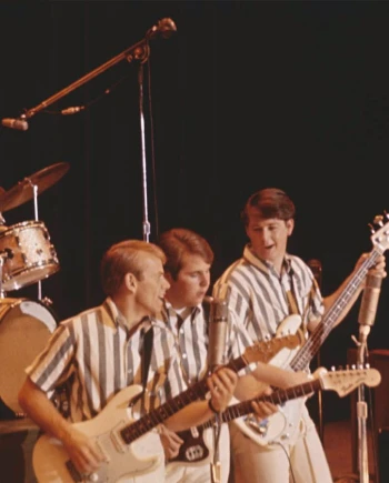The Beach Boys&nbsp;: Disney+ surfe sur la vague des&nbsp;docs&nbsp;musicaux