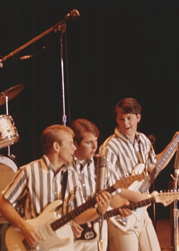 The Beach Boys&nbsp;: Disney+ surfe sur la vague des&nbsp;docs&nbsp;musicaux