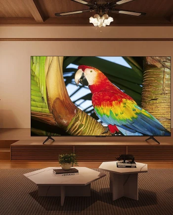 TCL C655, TV UHD 4K QLED&nbsp;: HDR Dolby Vision/Dolby Atmos +&nbsp;VRR 120&nbsp;Hz&nbsp;1&nbsp;080p