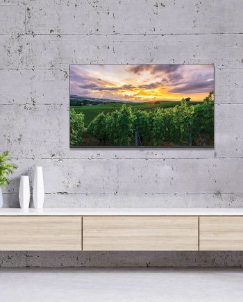 Promo TV QLED Thomson&nbsp;65QA2S13 à&nbsp;490&nbsp;€ soit &#8209;35% de&nbsp;remise