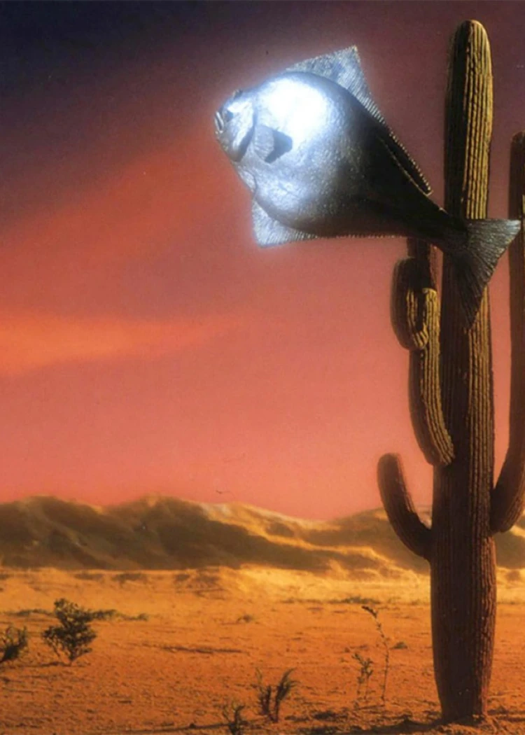 I have a Arizona Dream en 4K&nbsp;Ultra&nbsp;HD