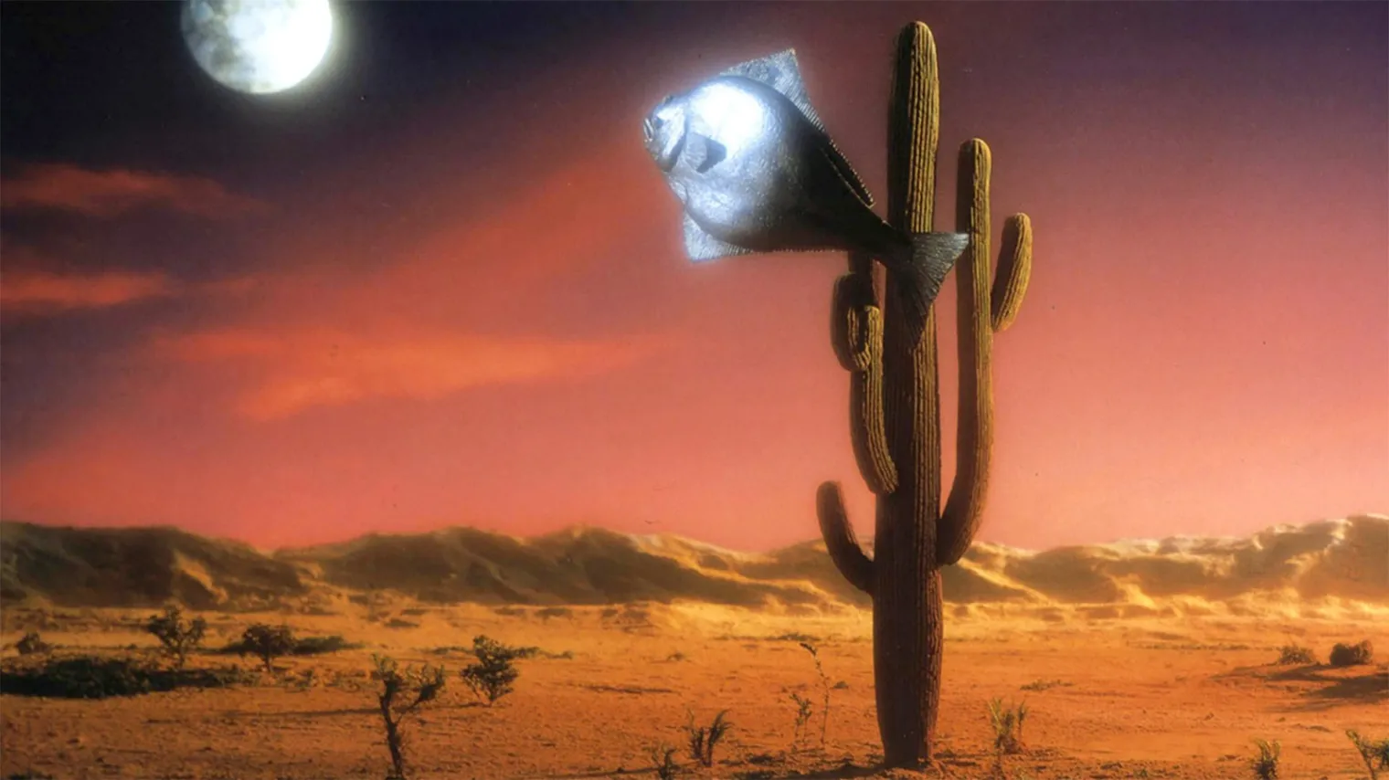 I have a Arizona Dream en 4K Ultra HD