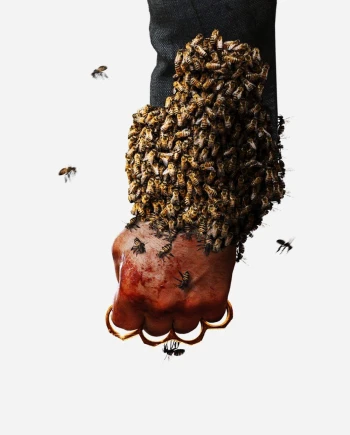 The Beekeeper, don't worry,&nbsp;bee&nbsp;api