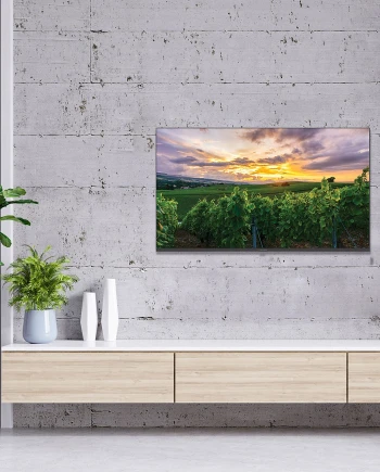 Thomson QLED Android&nbsp;TV 11.0, du&nbsp;43''&nbsp;au&nbsp;75''