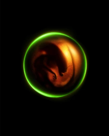 La série Alien se dote d’un titre assez&nbsp;inattendu…
