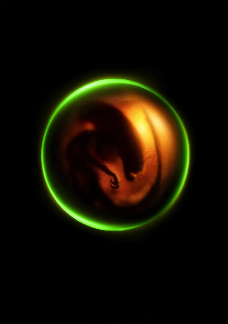la-serie-alien-se-dote-d-un-titre-assez-inattendu