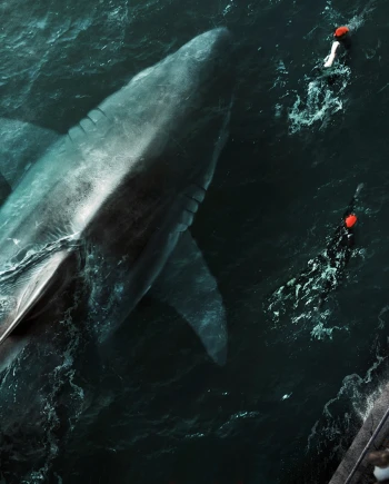 Netflix&nbsp;: le requin parisien dévore la&nbsp;concurrence